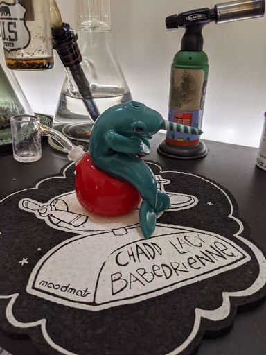 Preview pic of Chadd Lacy x Babedrienne Narwhal on a bouncy ball