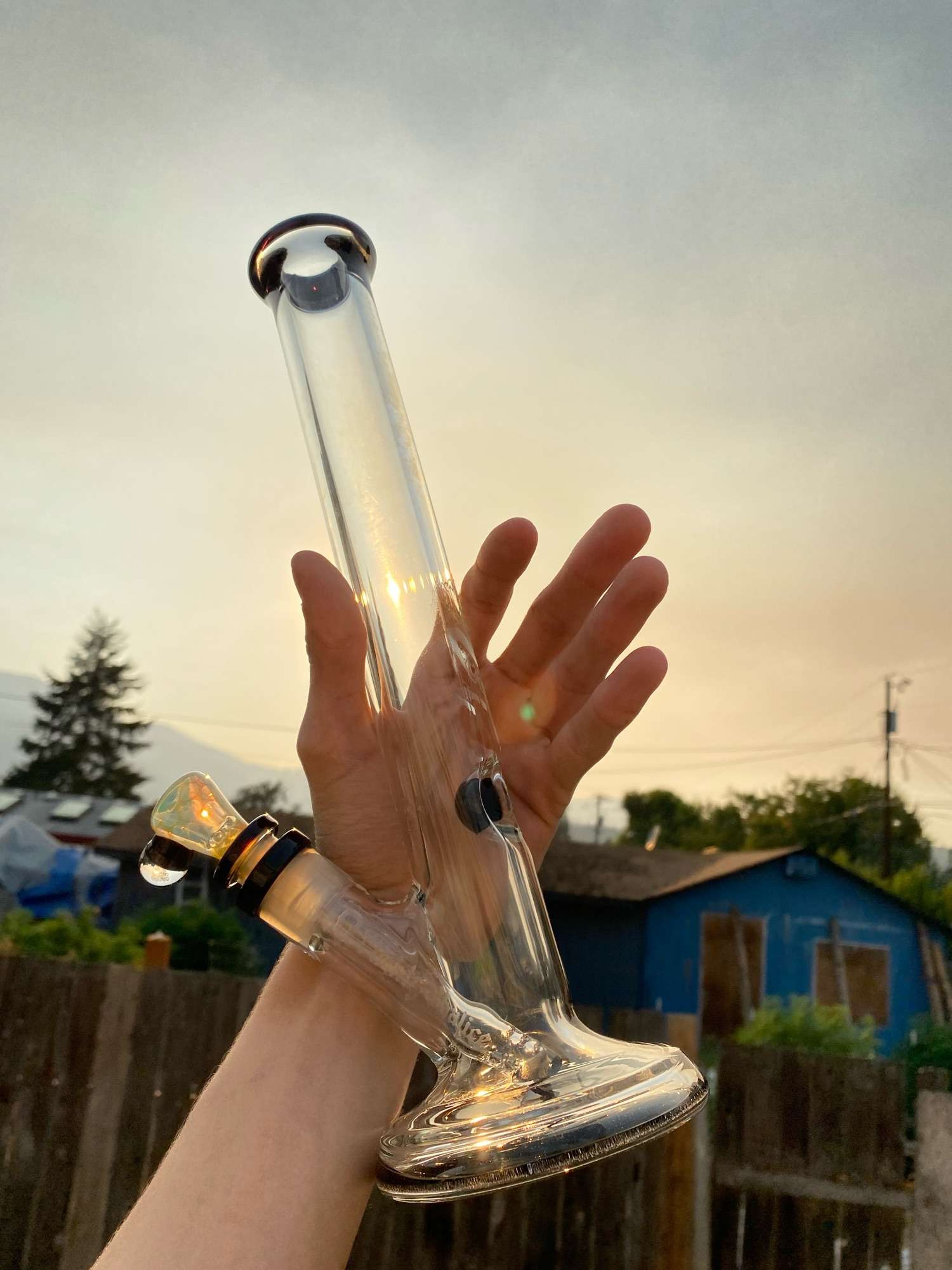 Preview pic of 2021 Mighty Chalice Hybrid/BLACK