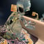 Small image 6