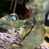 Small image 6