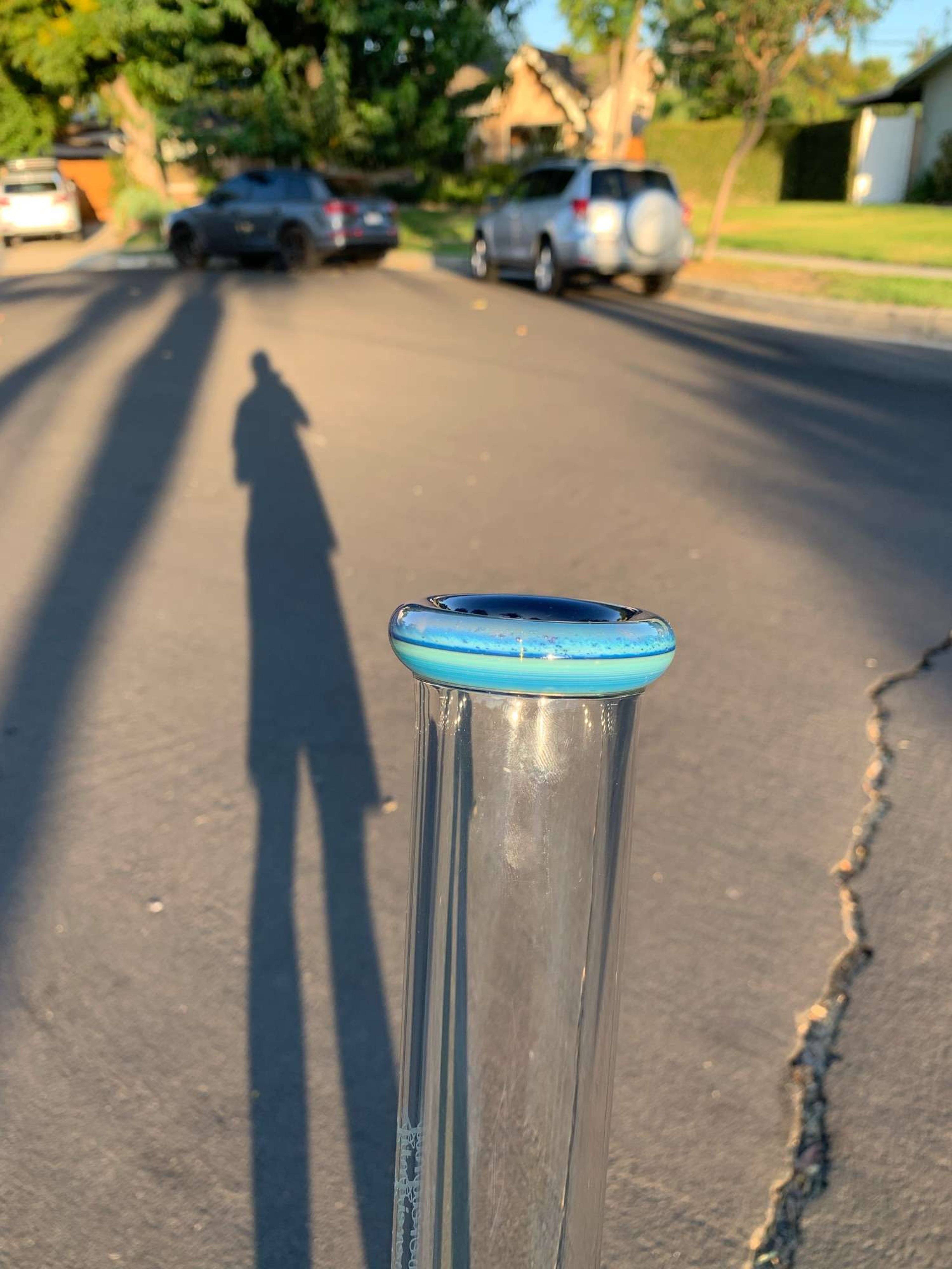 Preview pic of FA ug Jumbo Stem 50x5 in Spirulina over Blue Cheese 