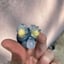Small image 4