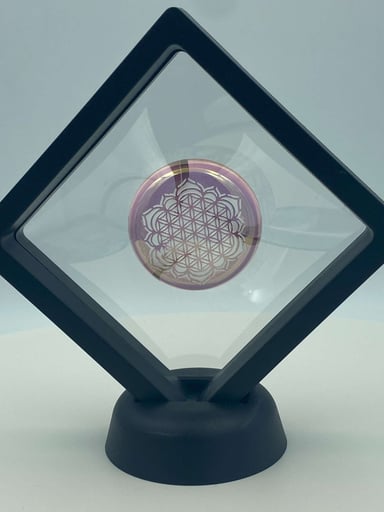 Preview pic of KAGE GLASS :  Light Purple Spinner Cap