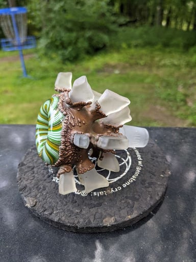 Preview pic of 18mm Burtoni slide