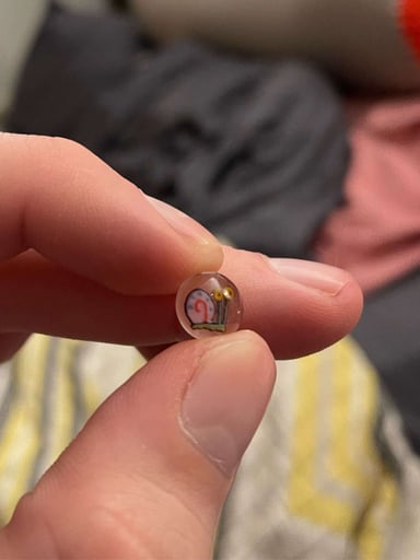 Preview pic of Gary The Snail Millie Pearl