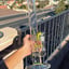 Small image 5