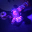 Small image 6