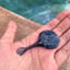 Small image 7
