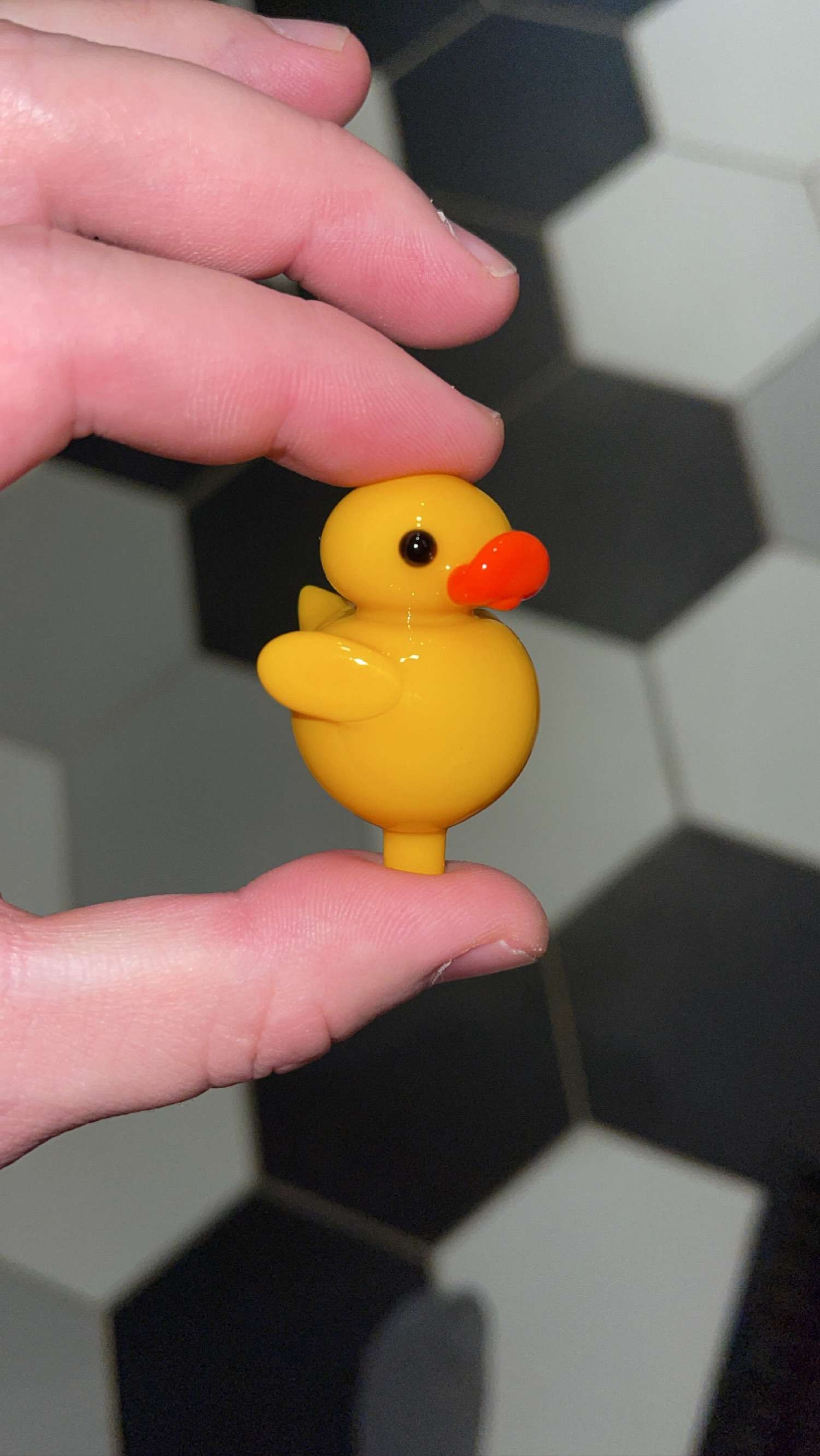 Preview pic of Ducky Cap