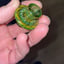 Small image 6