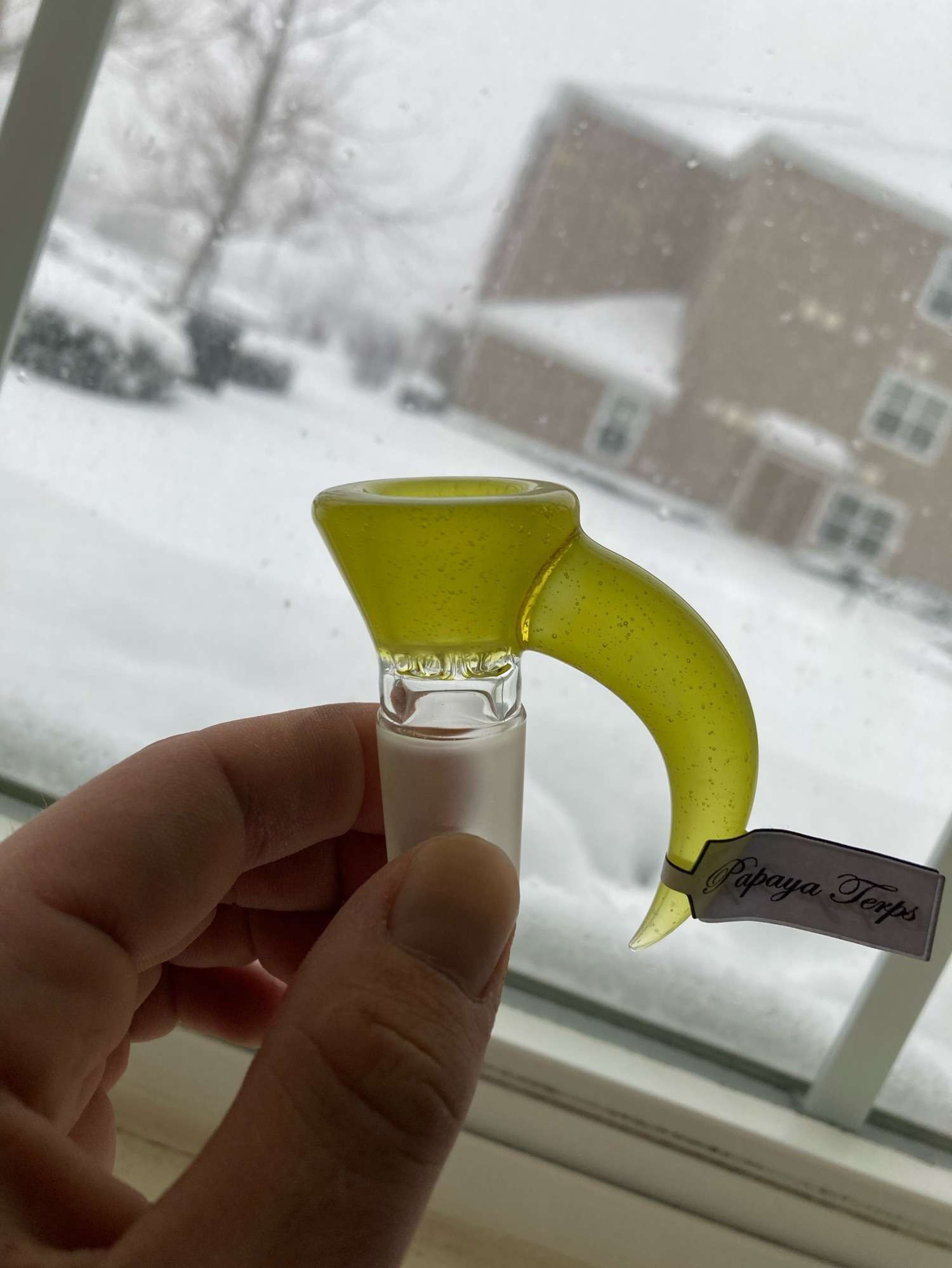 Sovereignty Fa papaya terps image 0