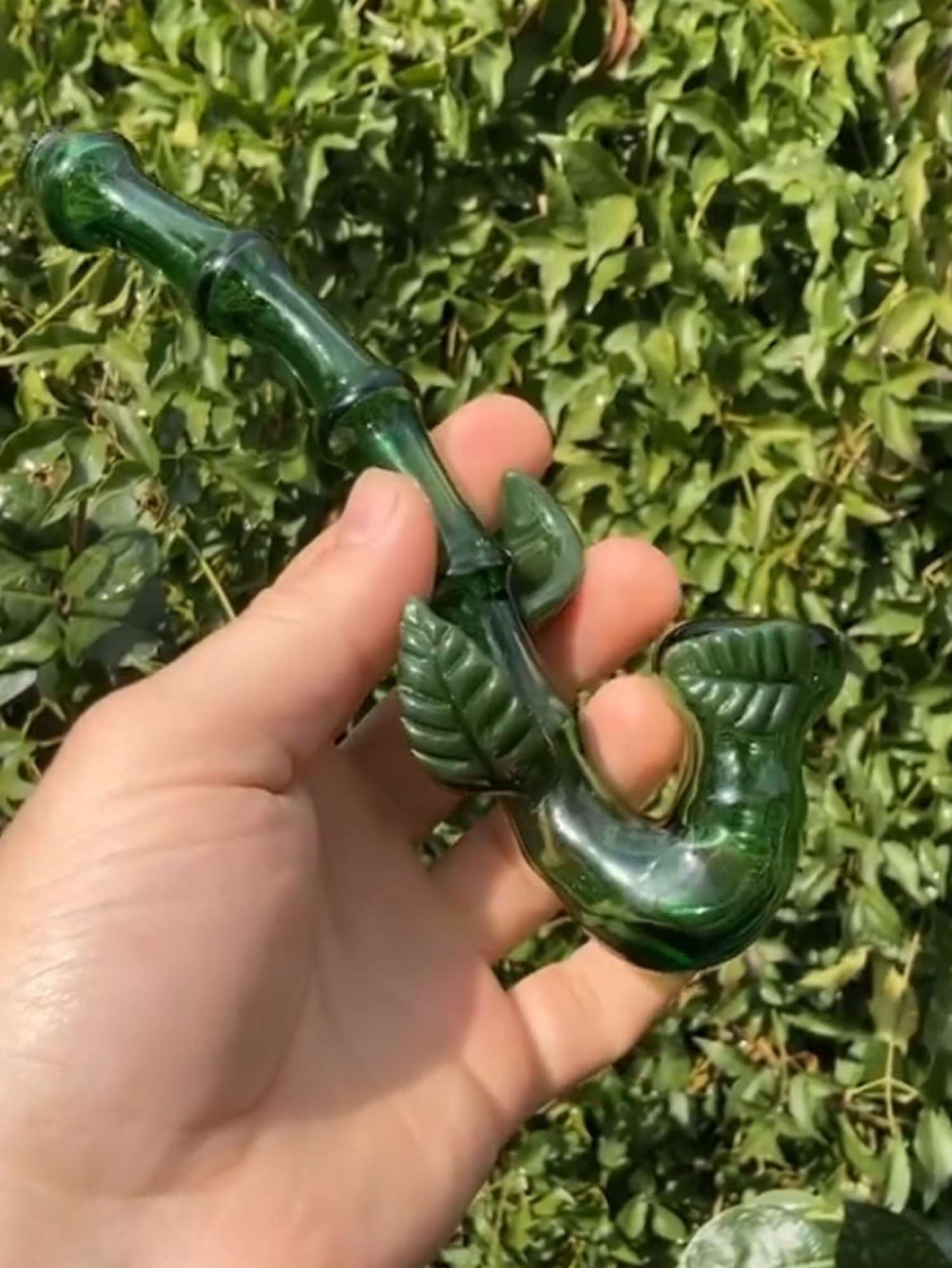 Preview pic of Green Bamboo Sherlock