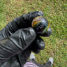 Small image 3