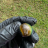Small image 6