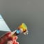 Small image 6