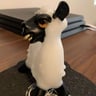 Small image 0