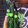 Small image 5