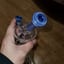 Small image 6