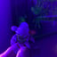 Small image 7