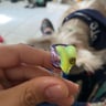 Small image 1