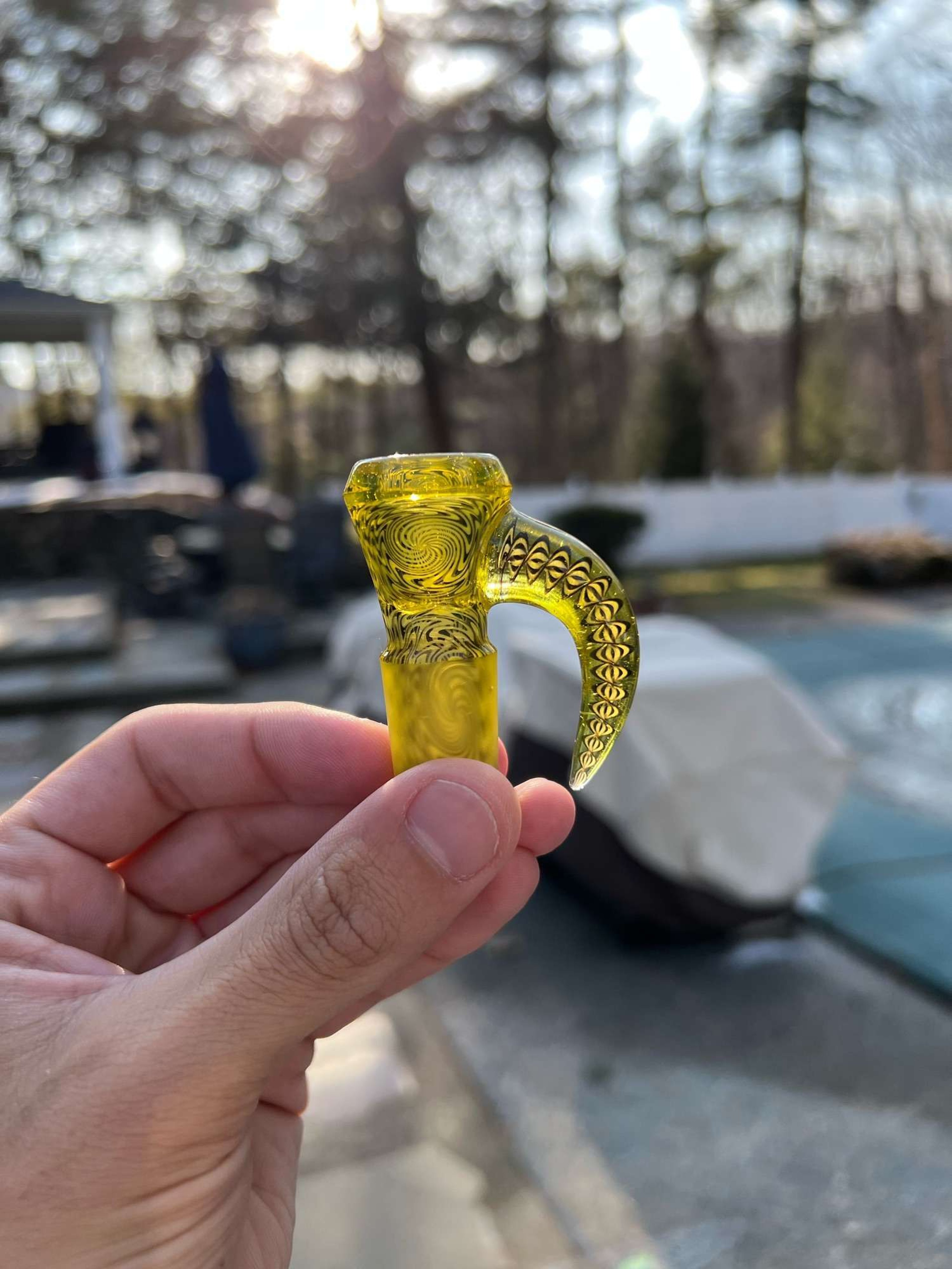 Terps shamby x willstar image 0