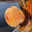 Small image 7
