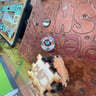 Small image 1