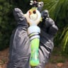 Small image 2