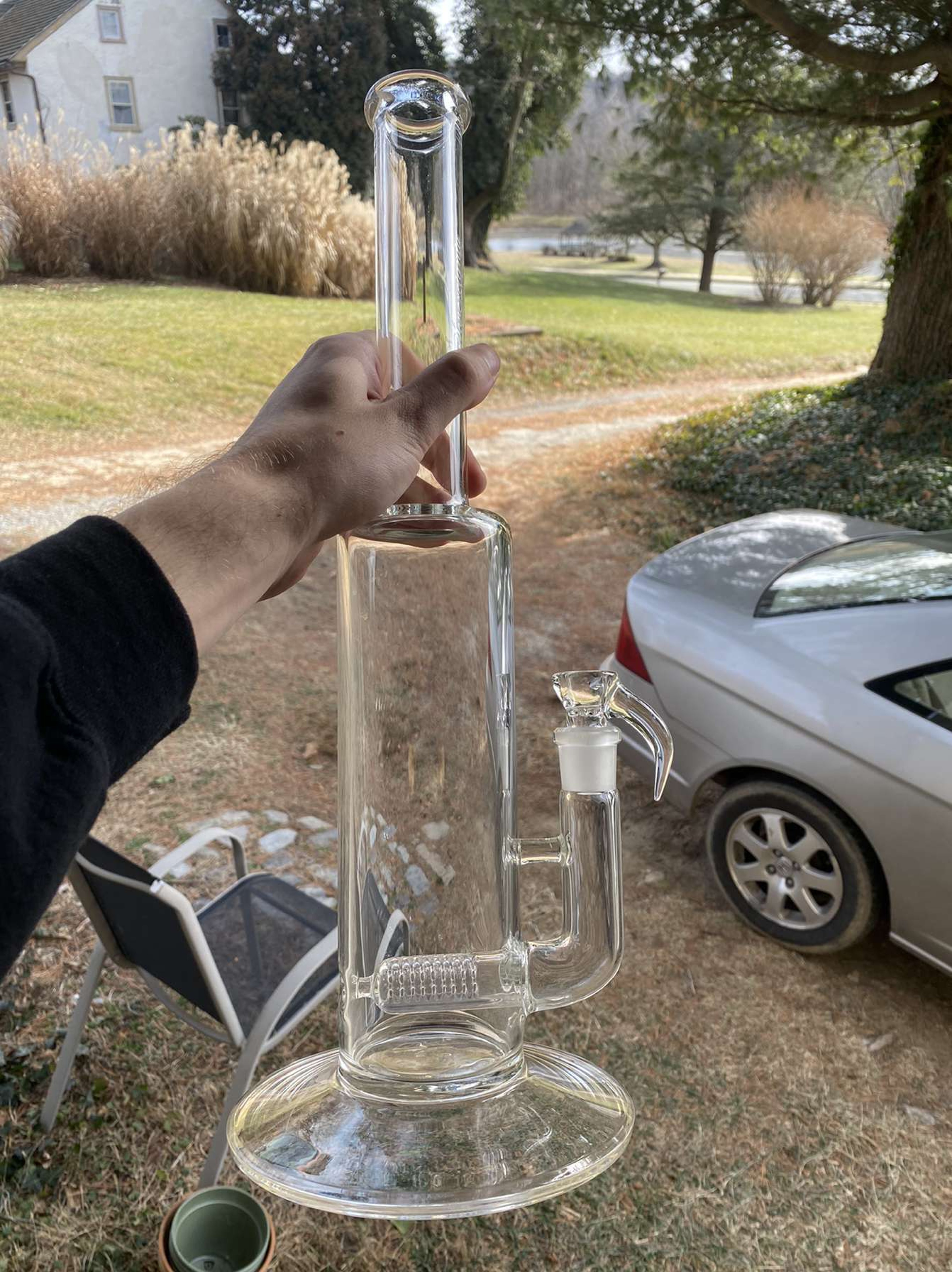 Sovereignty Glass Kingstem image 0