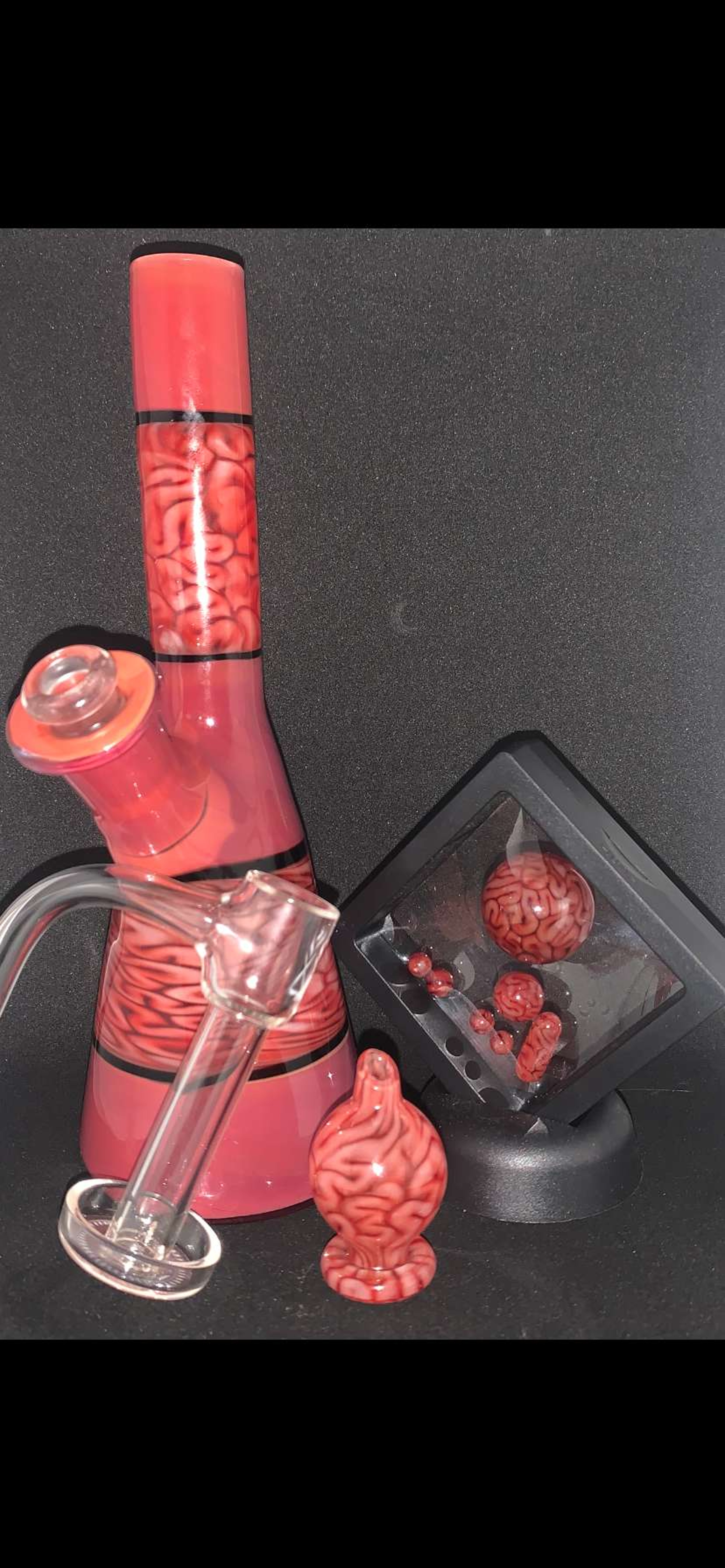 Algae brain tech encalmo beaker with accessories image 0