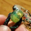 Small image 6