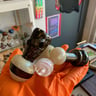 Small image 0