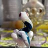 Small image 0