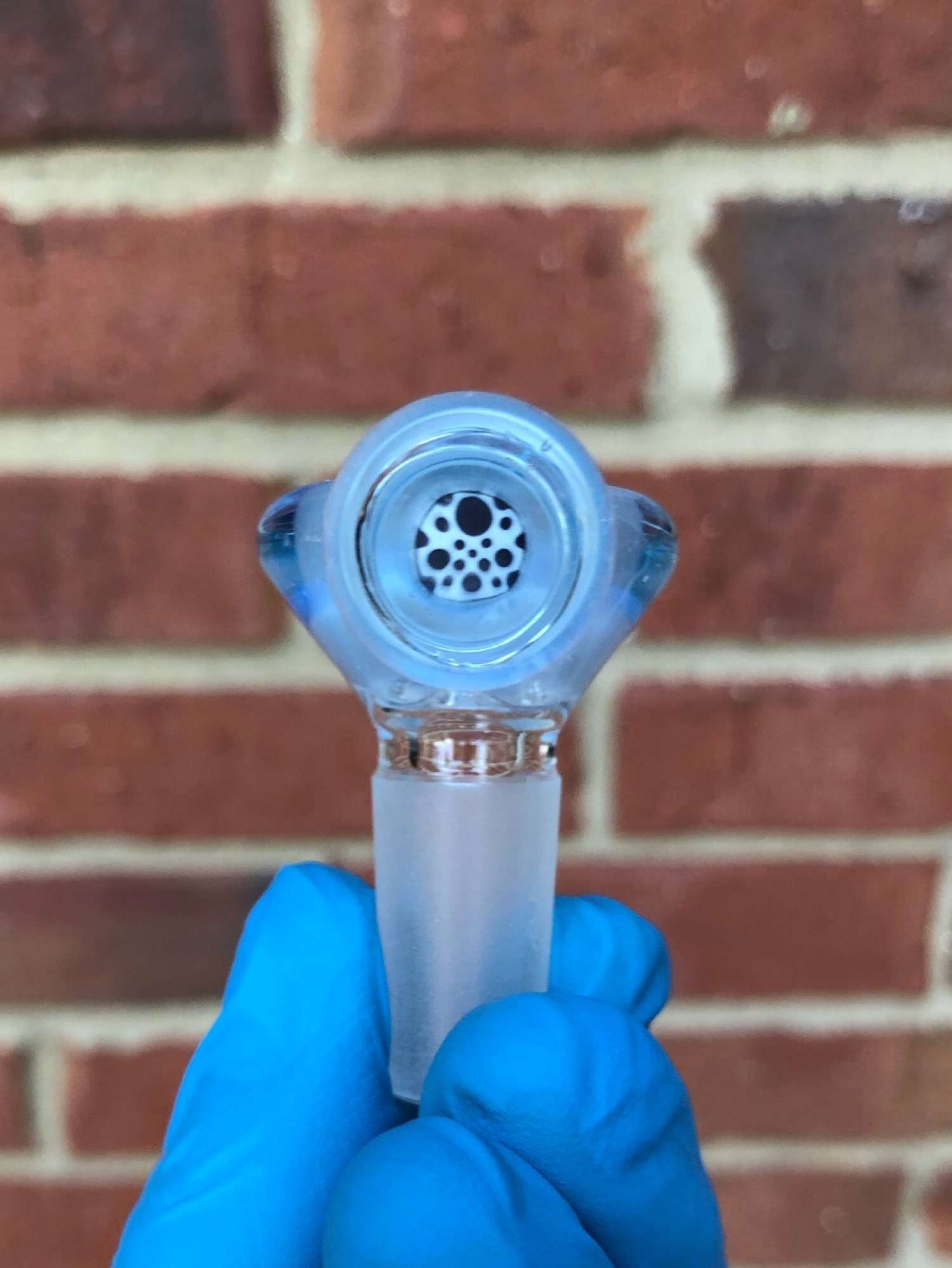 Preview pic of Swiss Perc 