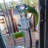 Small image 4
