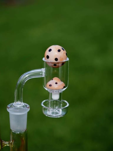 Preview pic of NEW* Peach Mushroom Slurper Set 