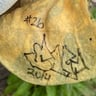 Small image 6