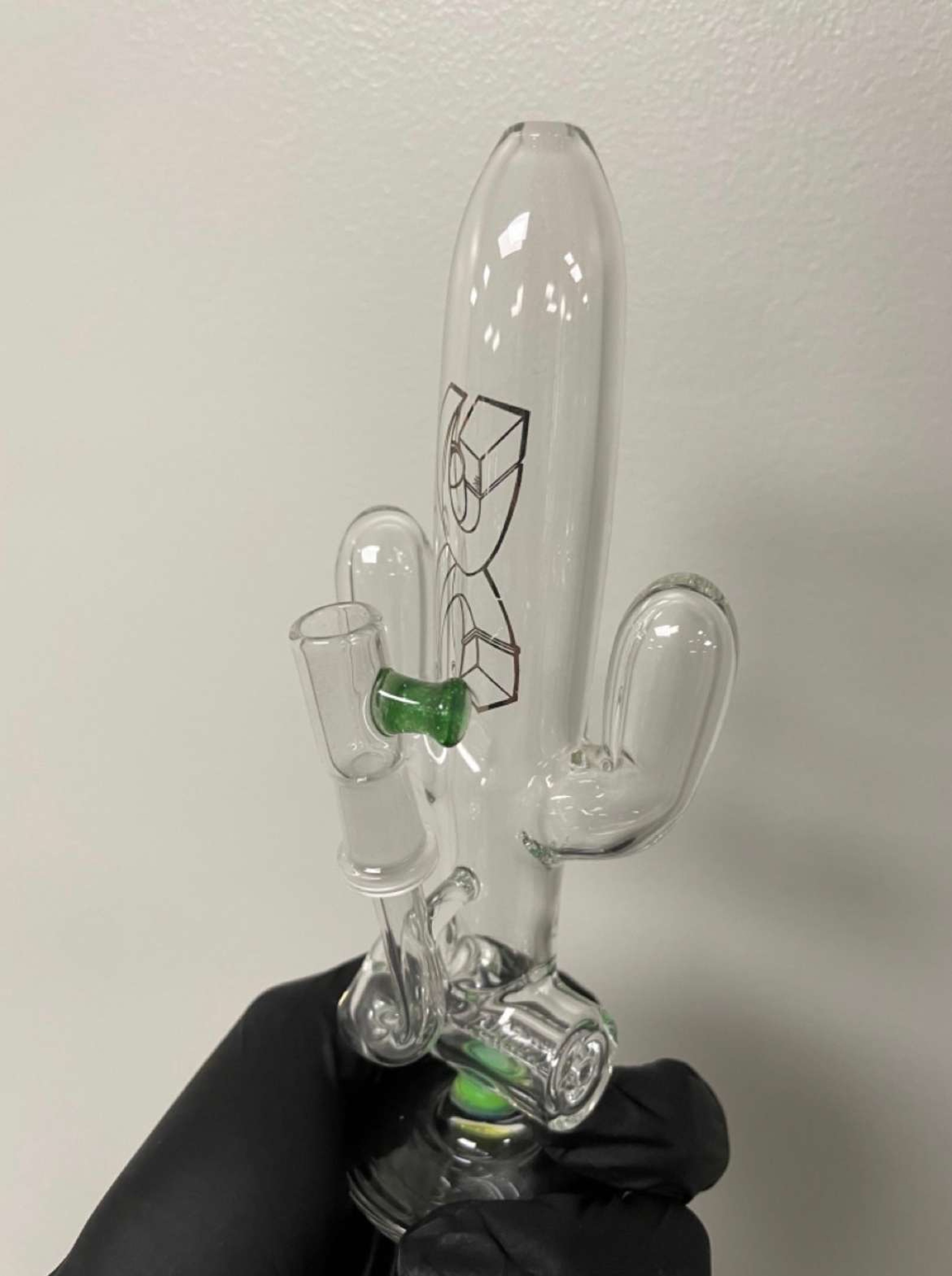Preview pic of Darby cactus 