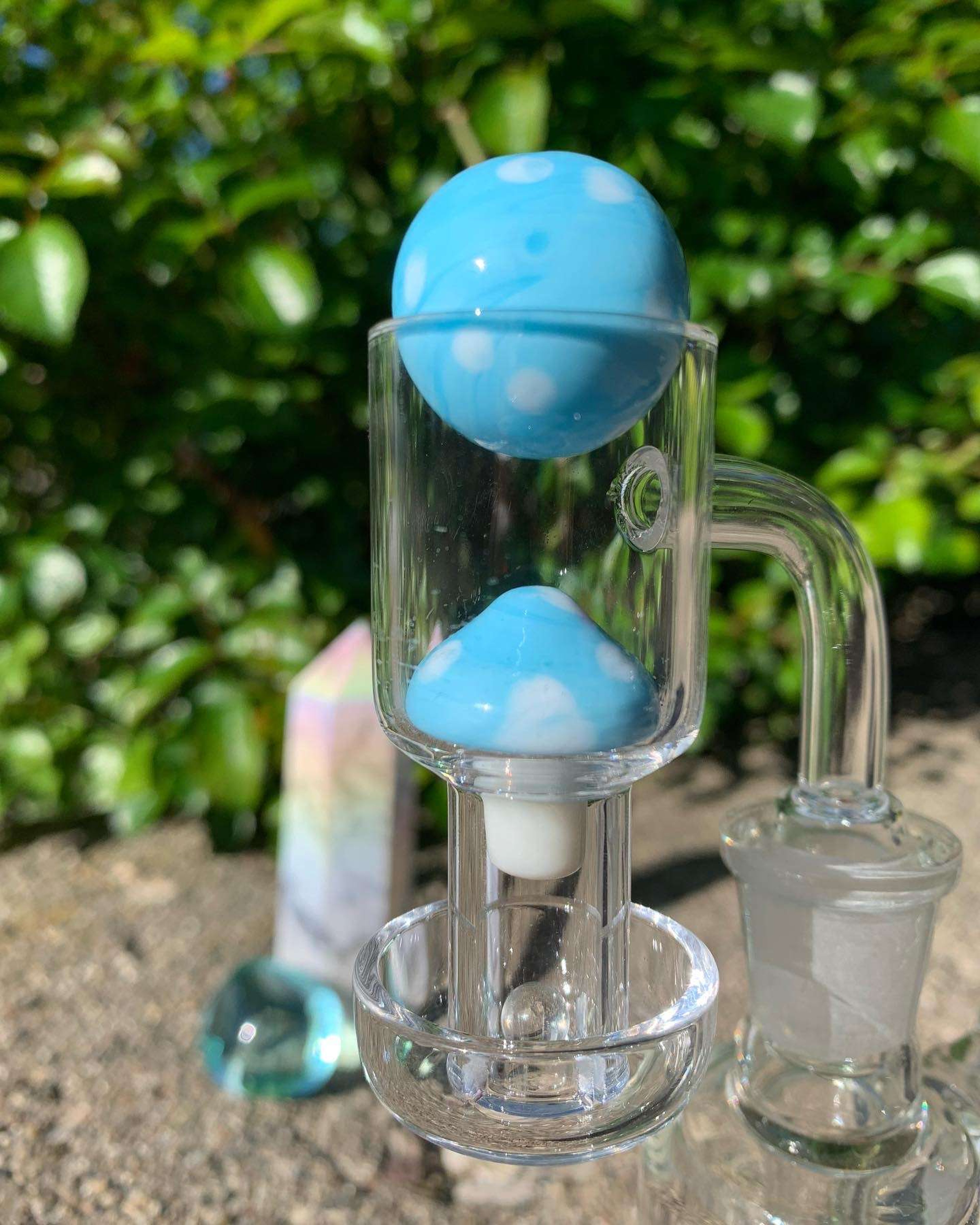 Preview pic of Mushroom slurper set 