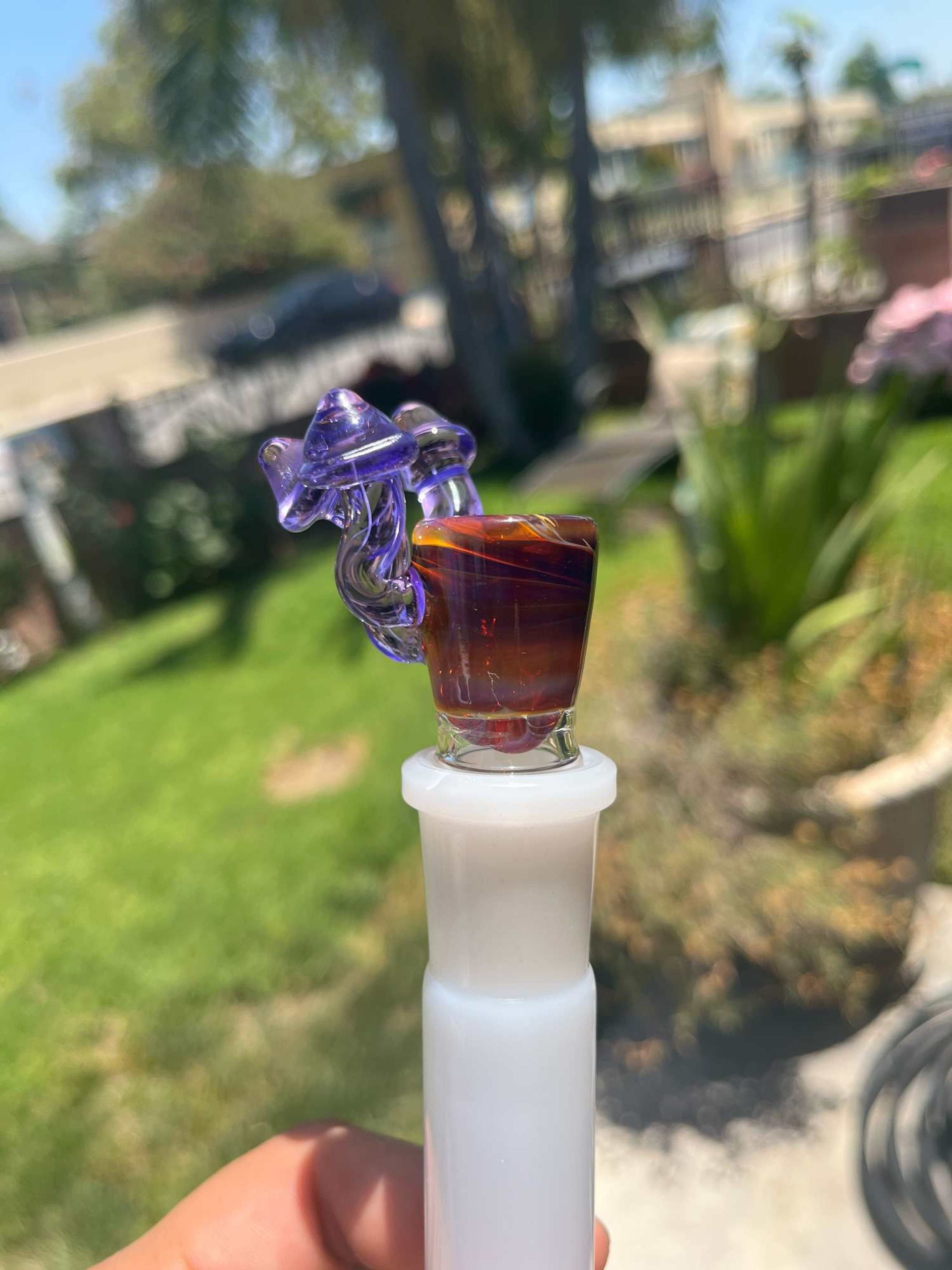 Preview pic of Amber purple mushroom slide 