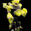 Small image 6