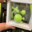 Small image 8
