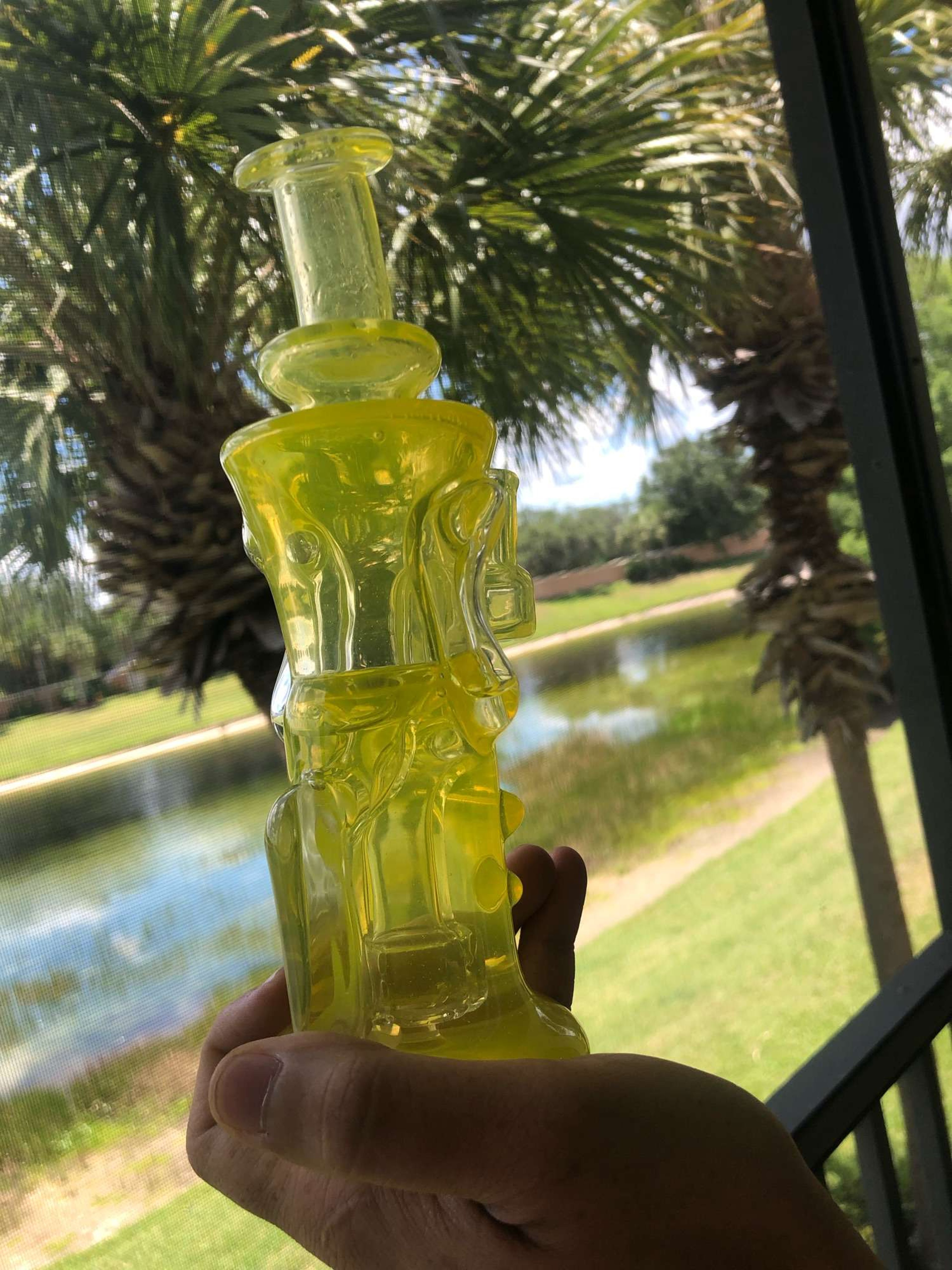 Preview pic of lemon drop chubby