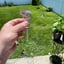 Small image 6