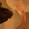Small image 6
