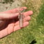 Small image 5