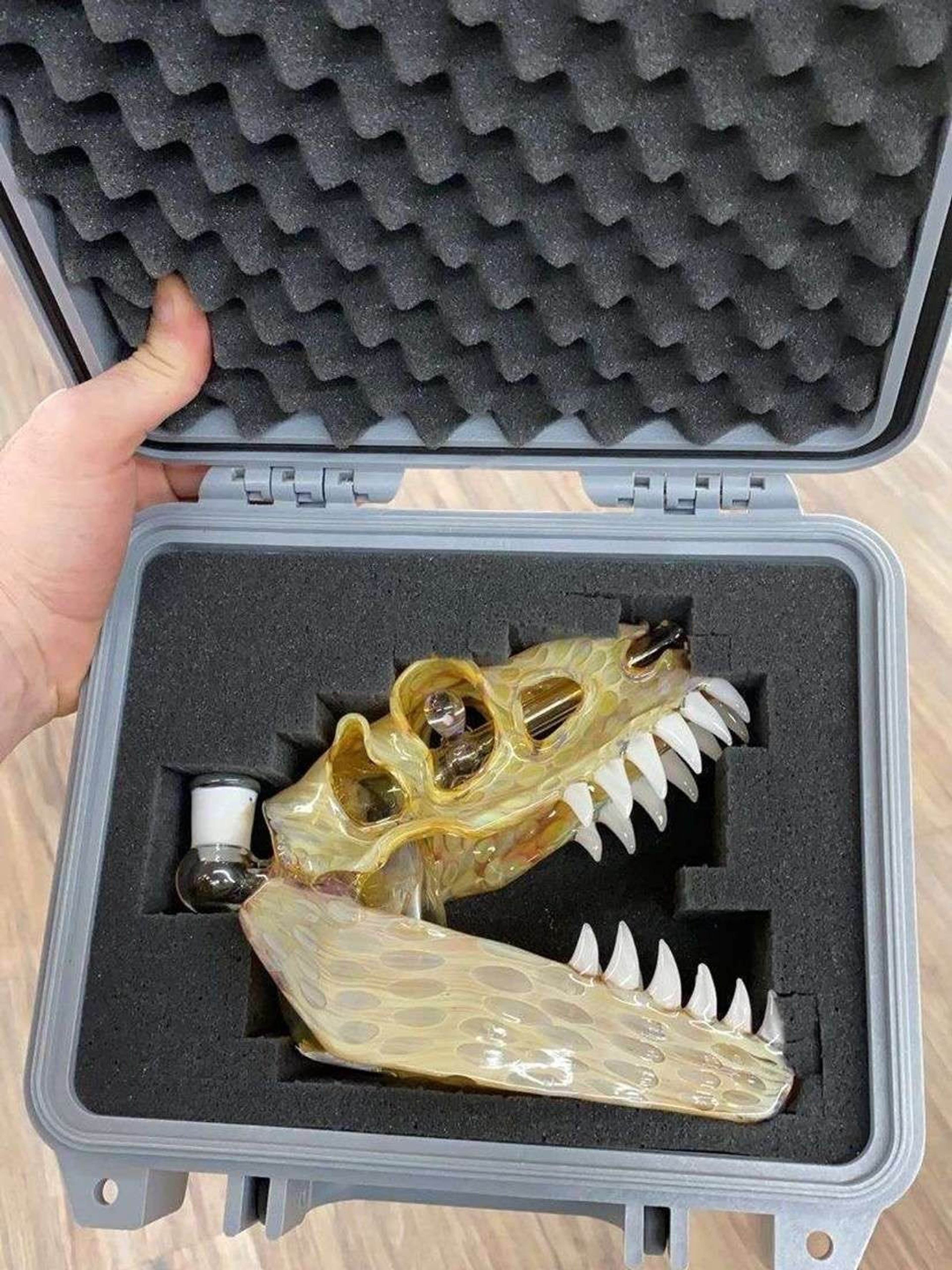 Preview pic of Dino Skull 
