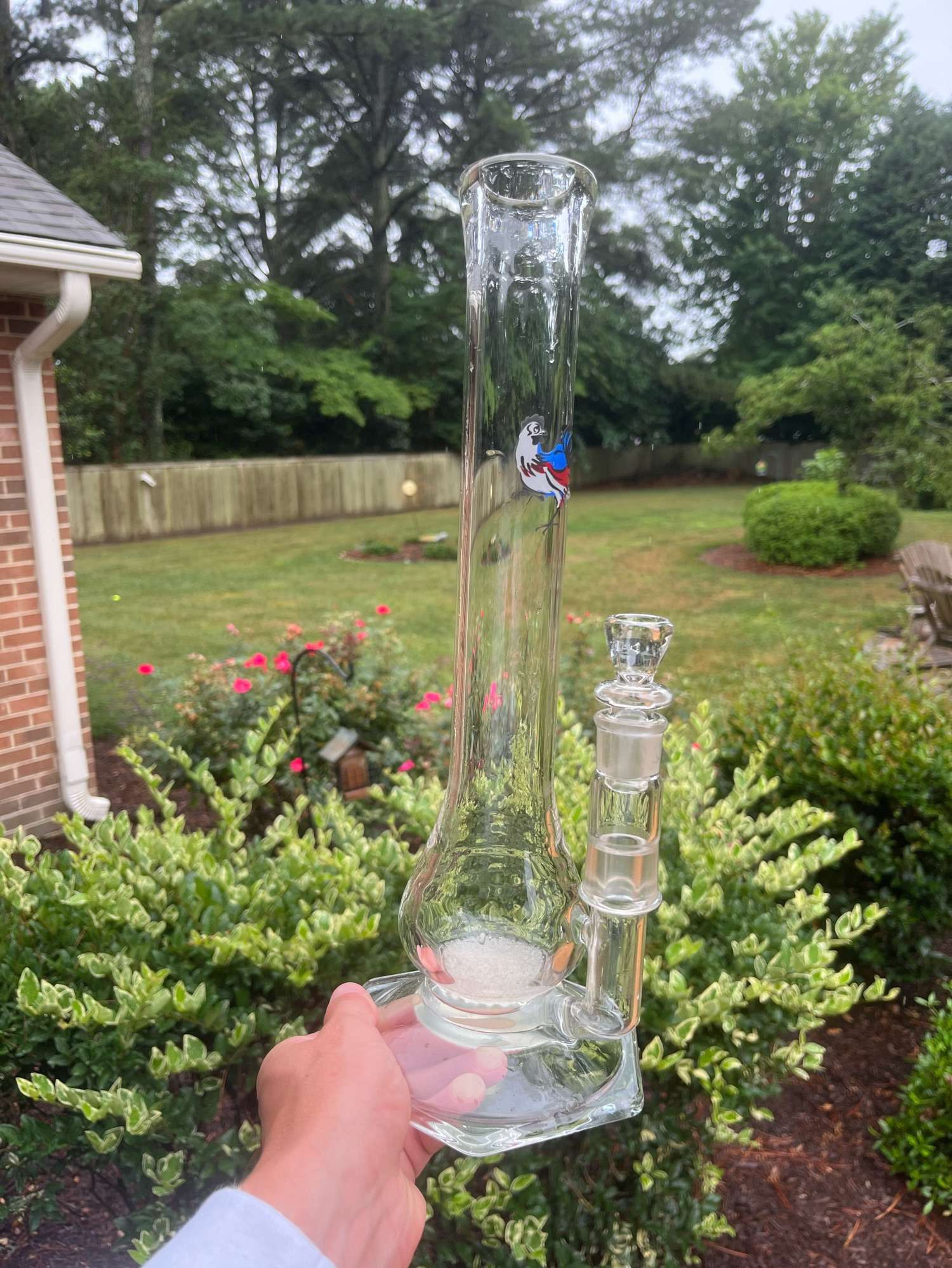 Preview pic of David Goldstein Rooster Apparatus 