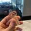 Small image 5