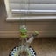 Small image 6